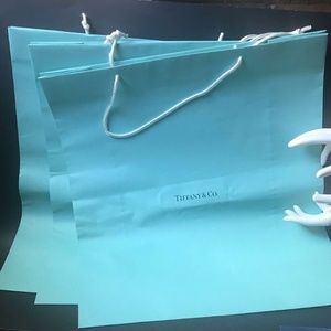 3 Authentic Tiffany & Co. Gift Bags • X Large NEW!